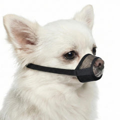Evollax Muselière petit chien : maille respirante pour un confort durable.