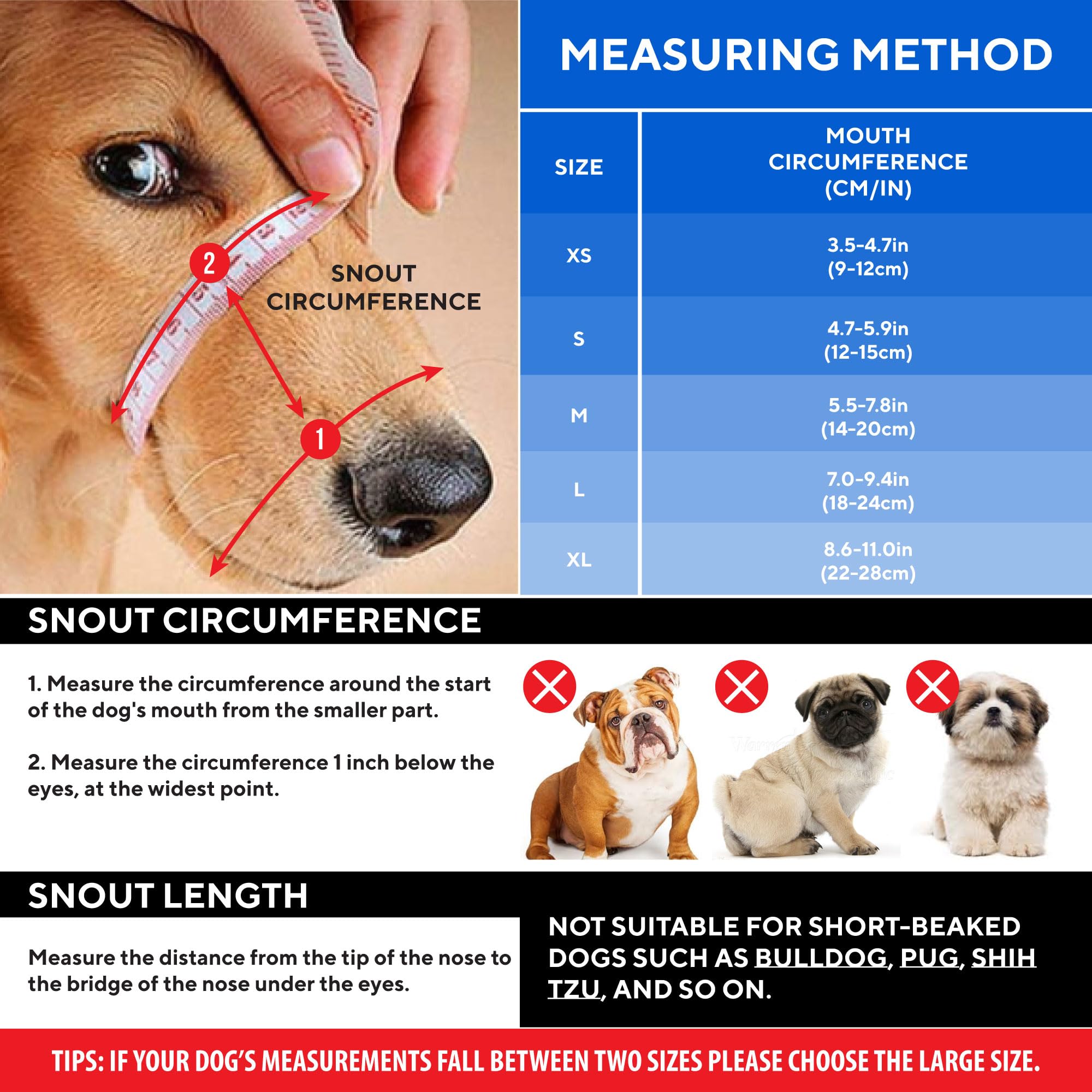 Evollax Muselière petit chien: ventilation efficace pour des sorties détendues.