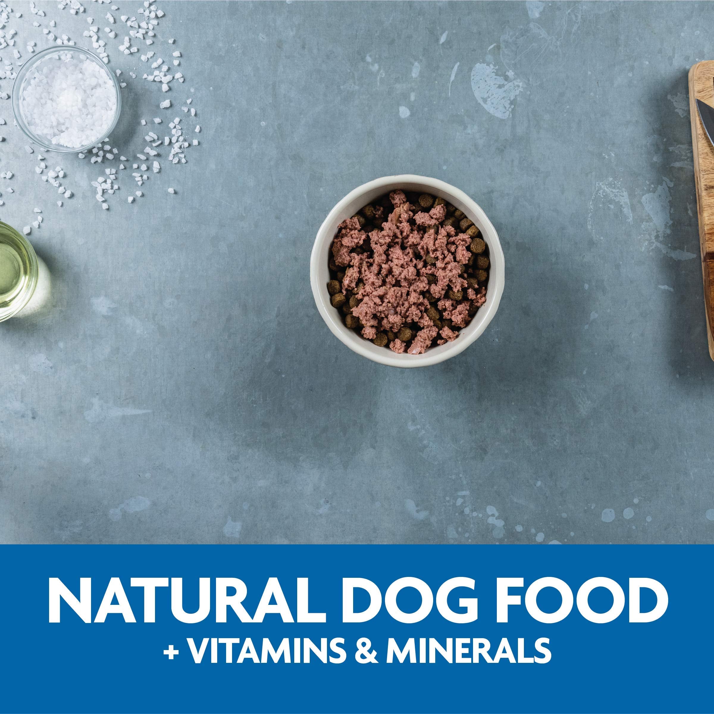 Bol de nourriture pour chien, arôme attractive et appétente.