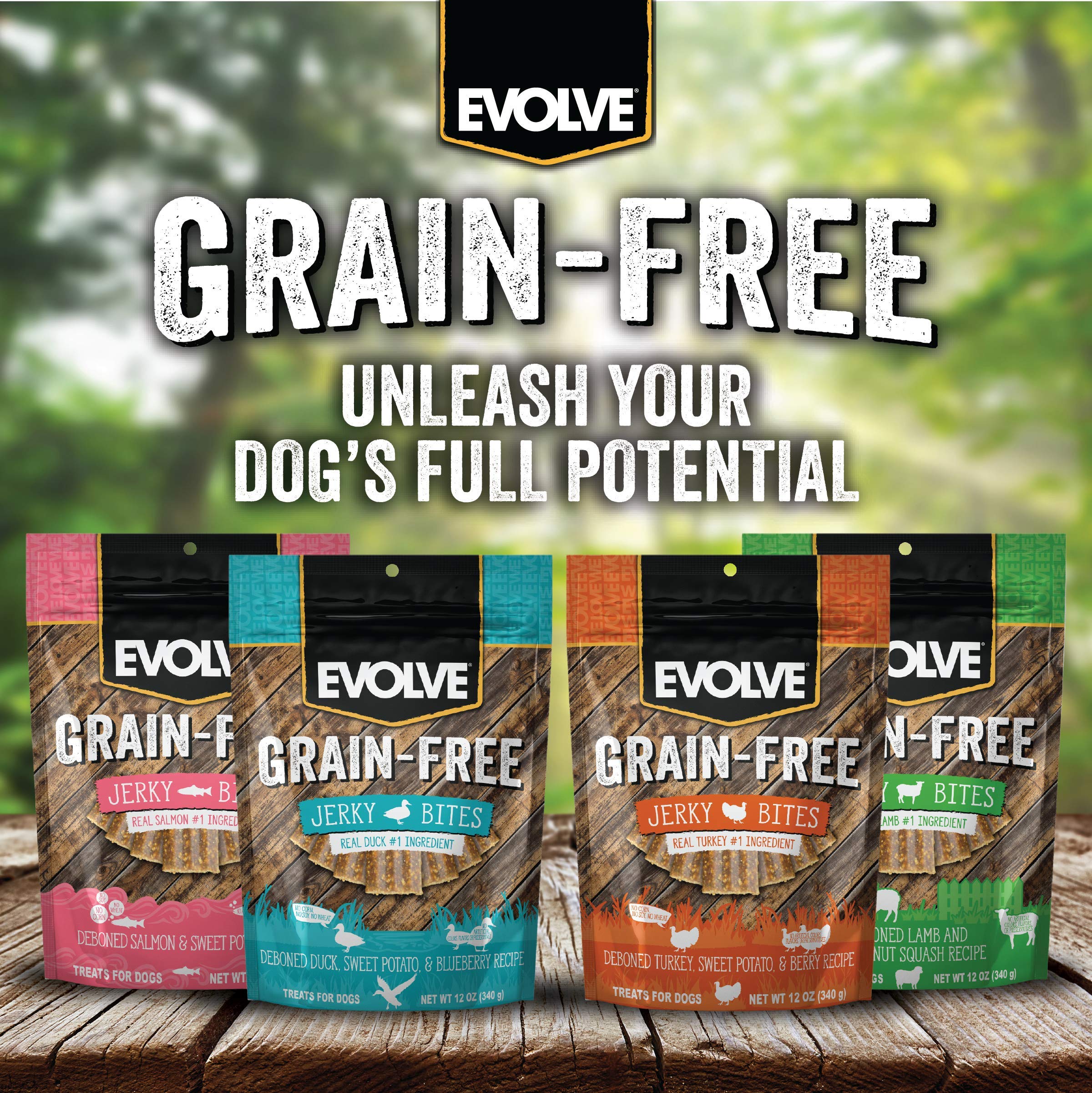 Evolve friandises dinde pois fruits rouges sans additifs, choix sûr pour routine.