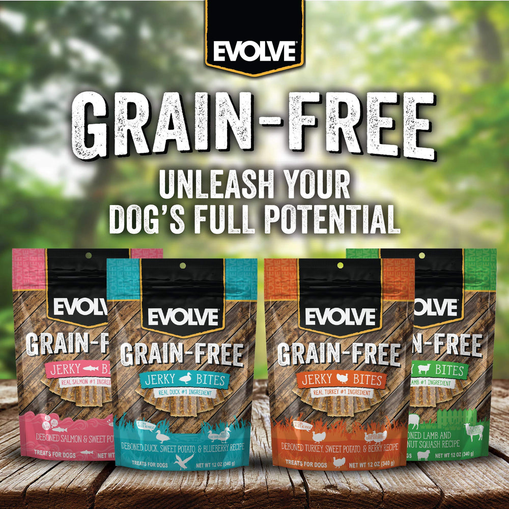 Evolve friandises dinde pois fruits rouges sans additifs, choix sûr pour routine.