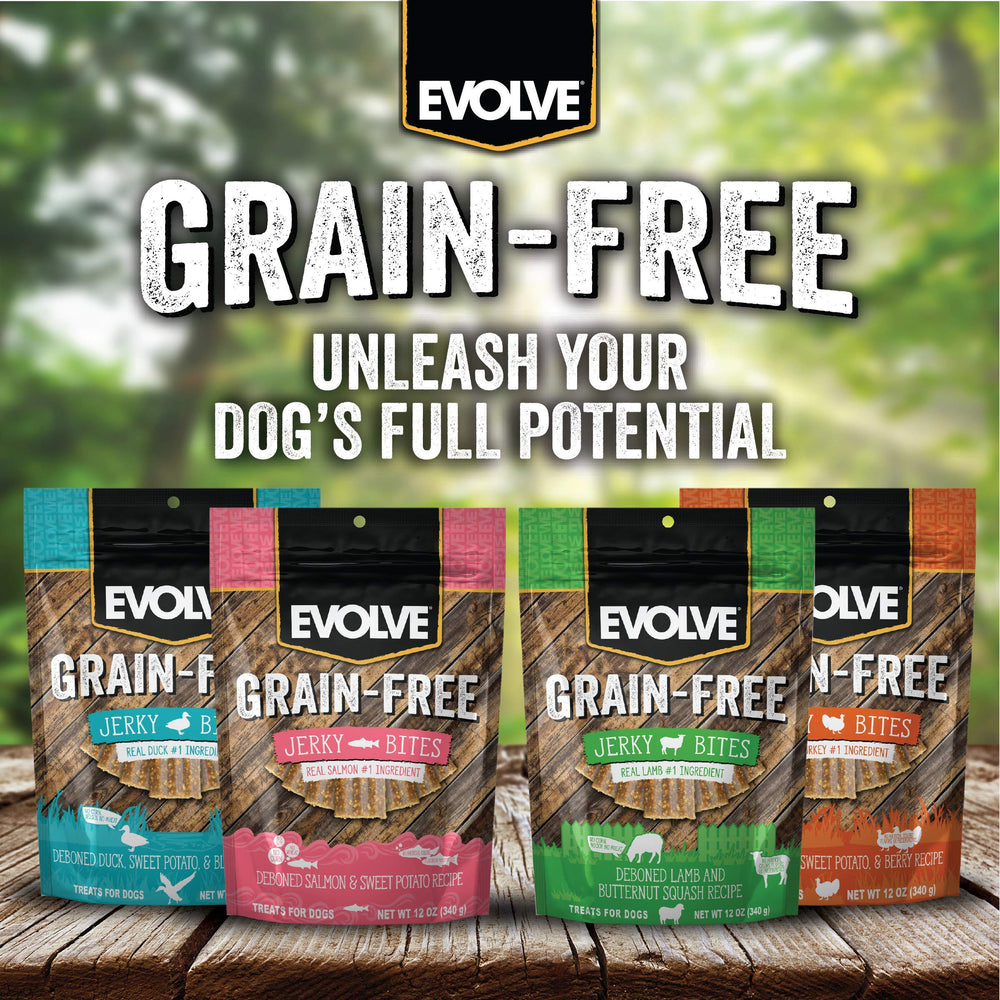 Evolve sans maïs ble soja: friandise sans allergenes courants.