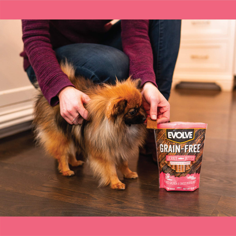 Evolve saumon-patates-douces-bouche-appetit: bouchées qui éveillent l'appétit de votre chien.