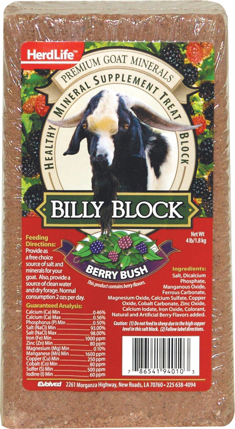 Bloc Billy Goat d'Evolved, buisson de baies, apport minéral pratique pour le troupeau.
