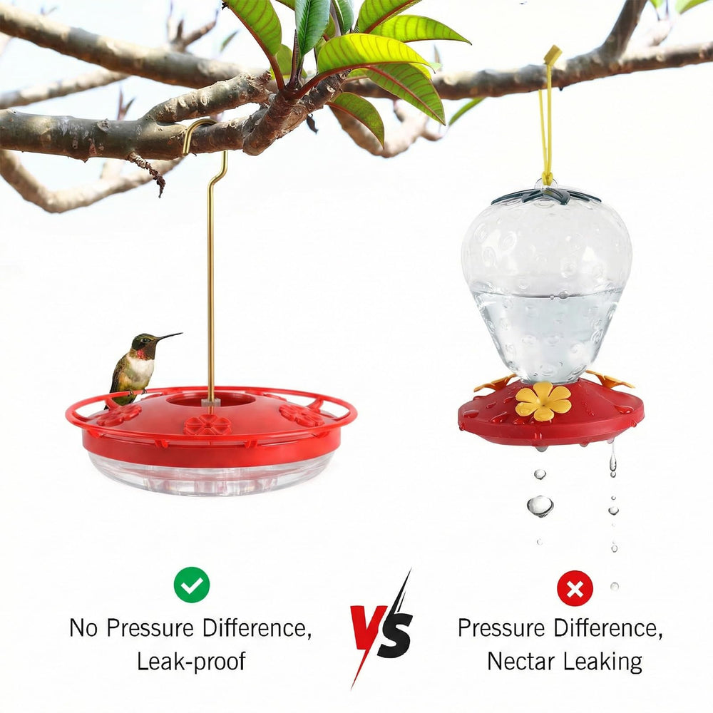 eWonLife base transparente permet de surveiller le nectar facilement.