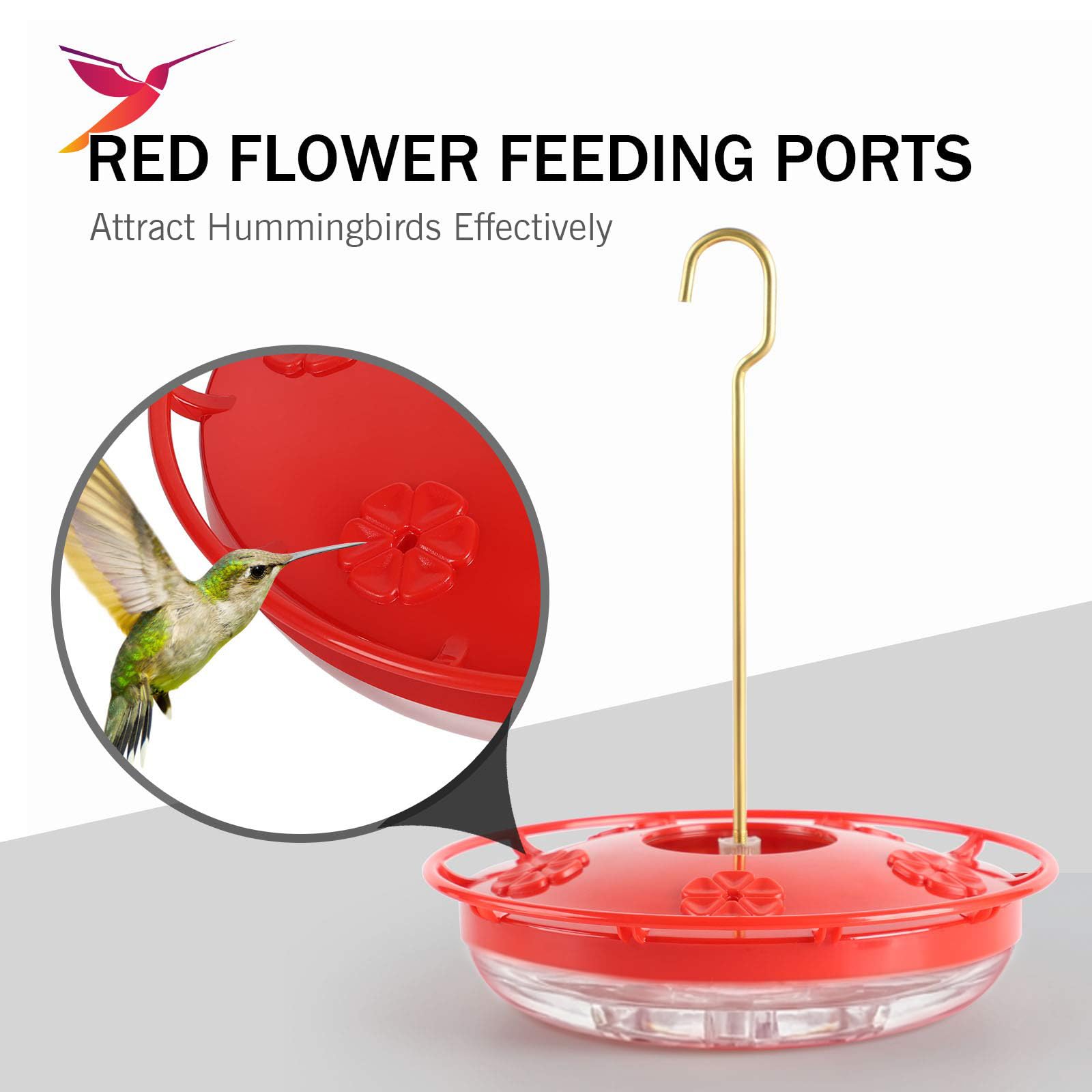 eWonLife ports nourrissage multiples facilitent l'alimentation des colibris.