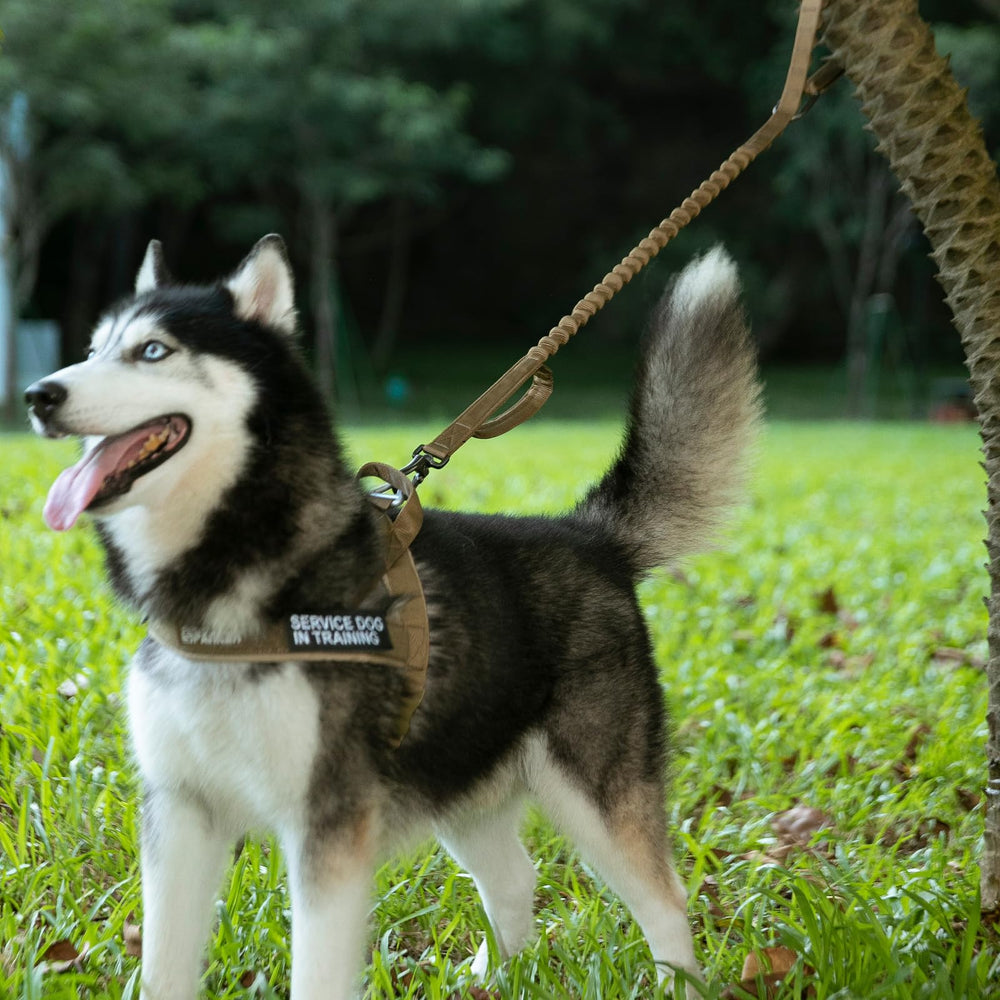 EXCELLENT ELITE SPANKER utile pour entrainement chien.