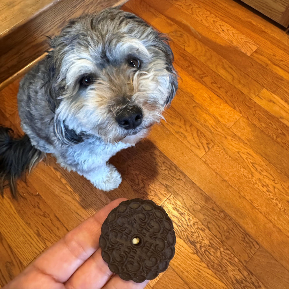 Exclusively Dog caroube vanille, biscuit sandwich – emballage pratique de 8 onces