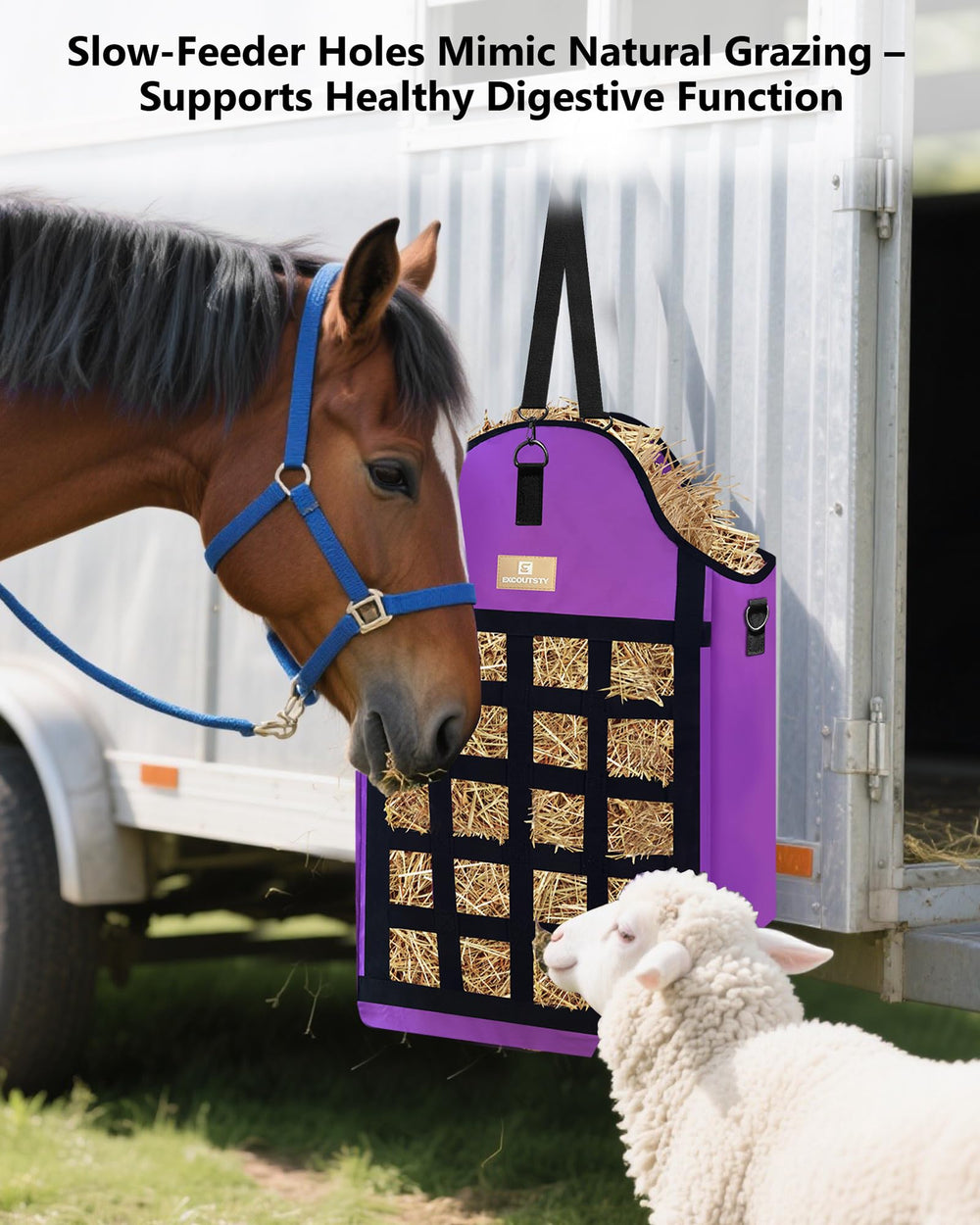 Excoutsty coffret 4 sacs: 3 noirs et 1 violet inclus.