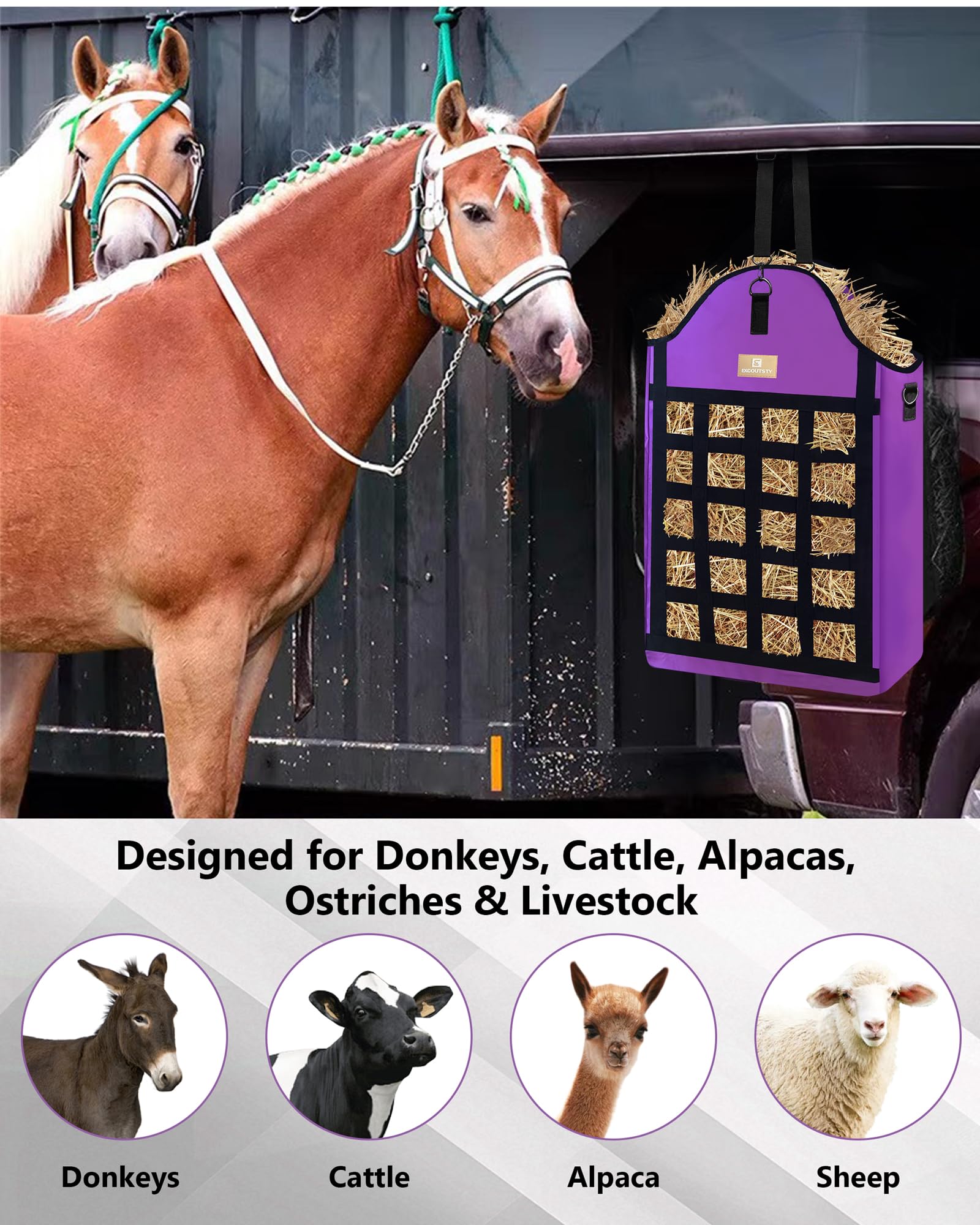 Excoutsty solution polyvalente: convient à chevaux, chèvres et moutons.
