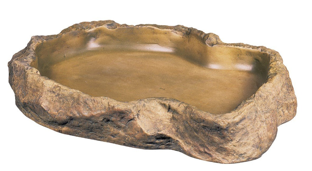 Exo Terra assiette-nourriture roche naturelle, intégration harmonieuse au terrarium.