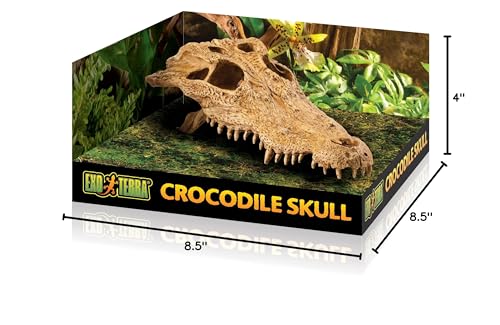Exo Terra crocodile skull élément esthétique qui améliore le terrarium.