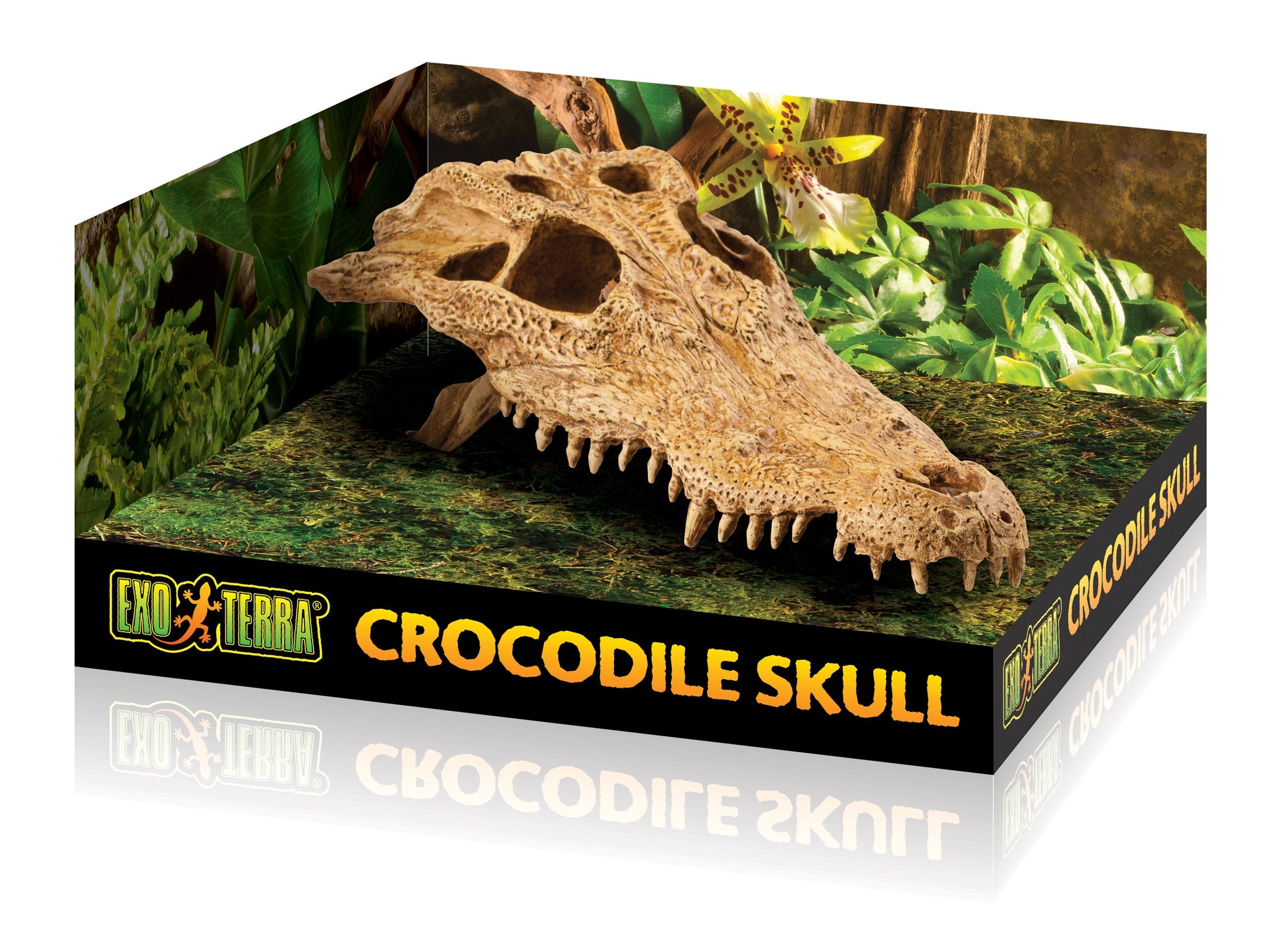 Exo Terra crocodile skull résine durable et non toxique, facile à nettoyer.