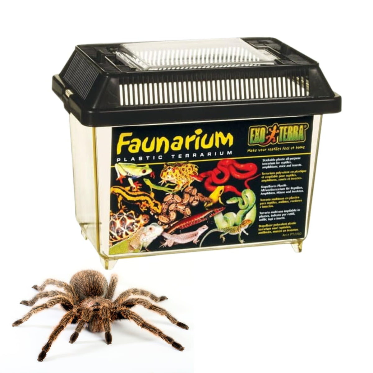 Exo Terra Faunarium avec poignée de portage pratique pour le transport sûr.