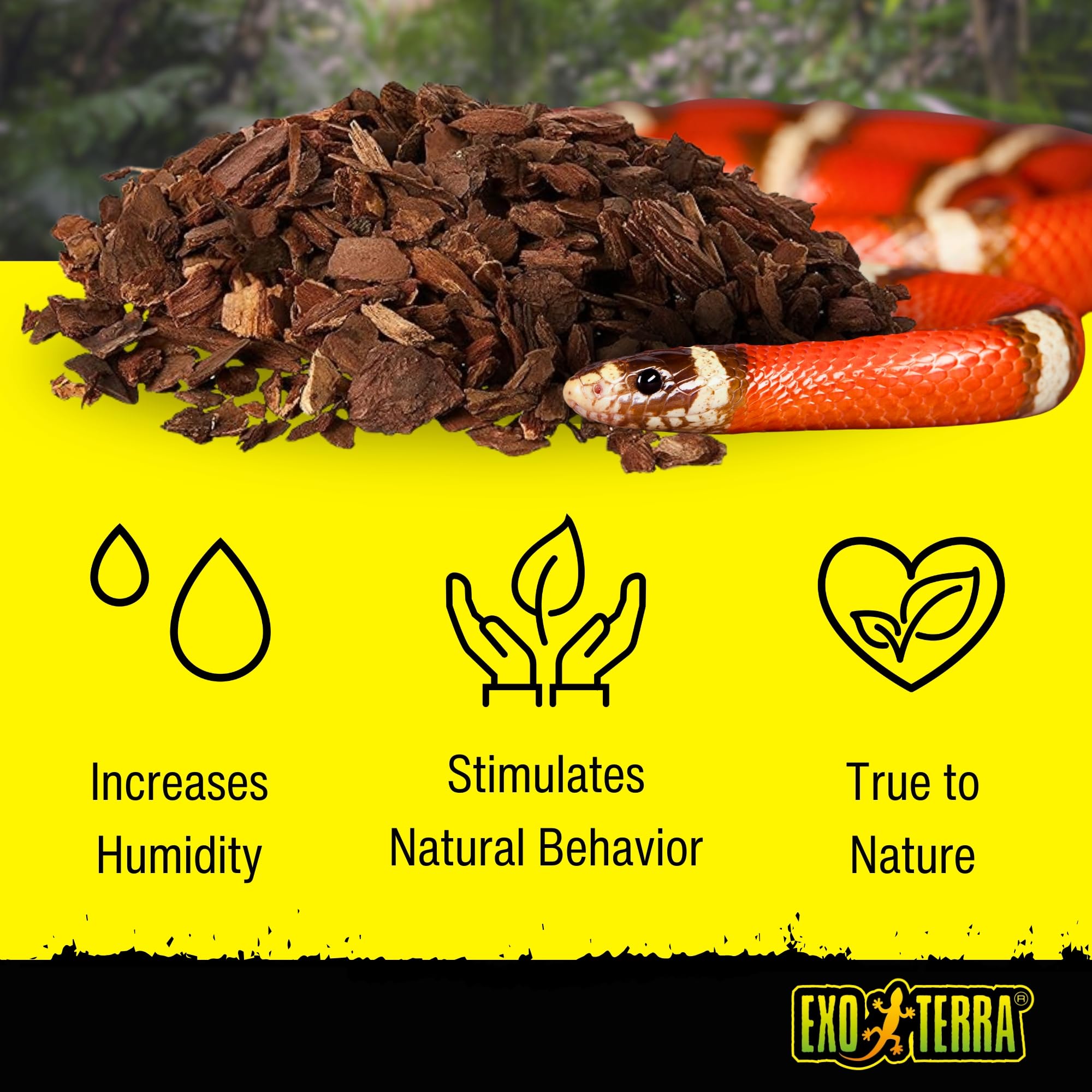 Exo Terra Forest Bark: substrat d’écorce pour terrarium favorisant creusement et exploration.