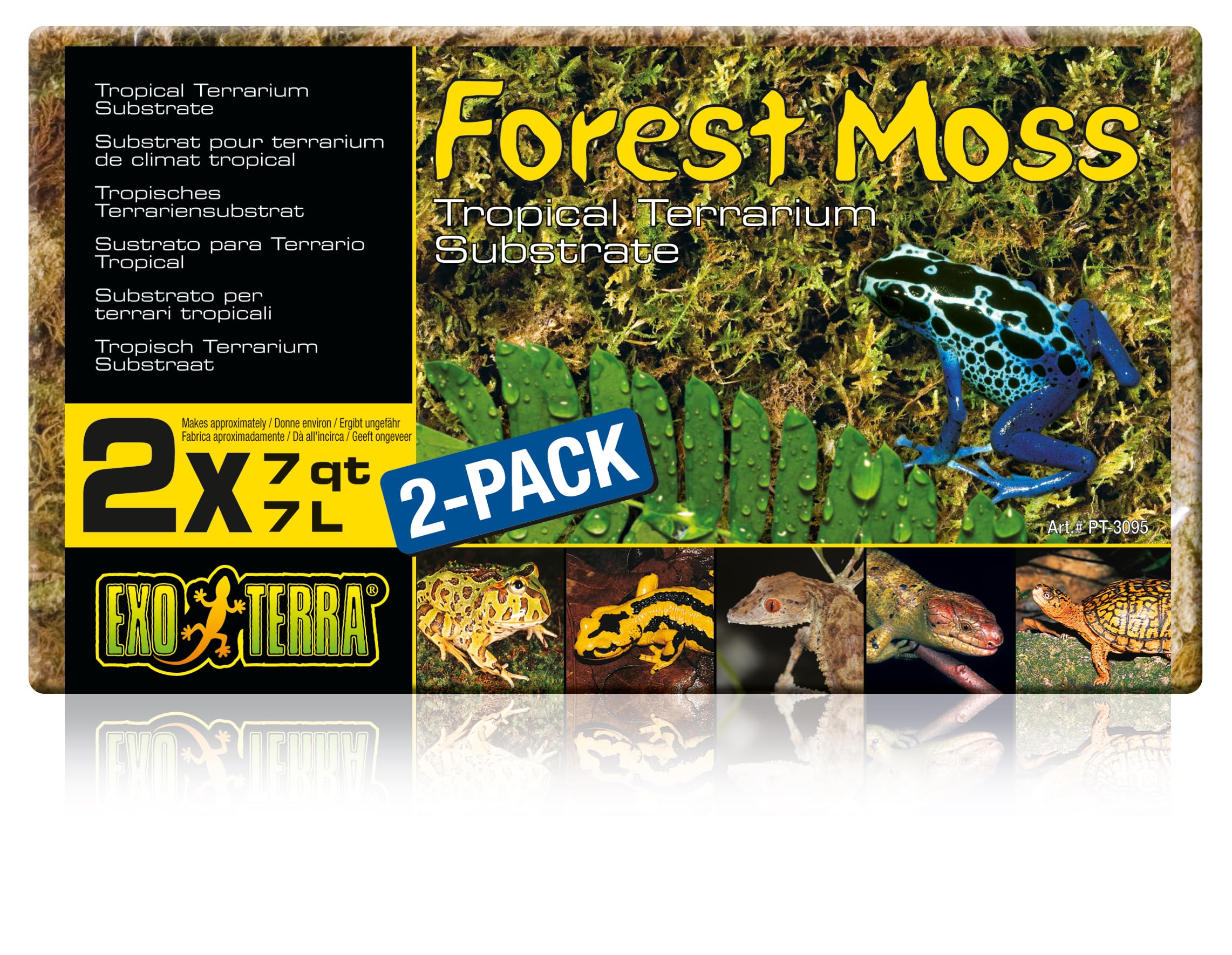 Exo Terra Forest Plume Moss gros plan sur le substrat naturel et humidifiant