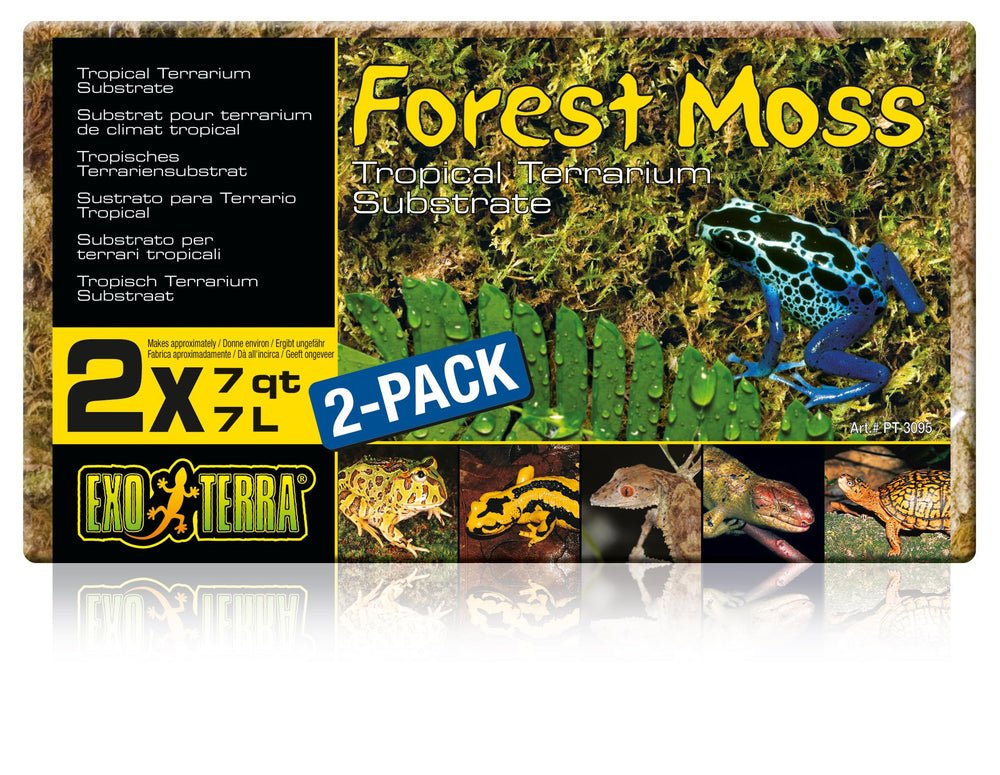 Exo Terra Forest Plume Moss gros plan sur le substrat naturel et humidifiant