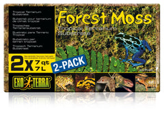 Exo Terra Forest Plume Moss gros plan sur le substrat naturel et humidifiant