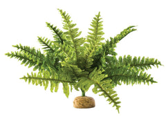 Exo Terra fougère de Boston, plante terrarium moyenne, offre camouflage naturel et abri.