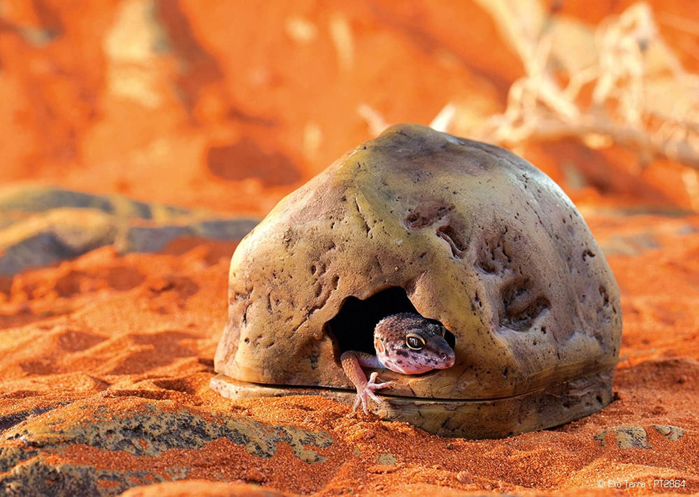 Exo Terra Gecko Cave — Habitat naturel et humide, idéal pour la nidification et le bien-être.
