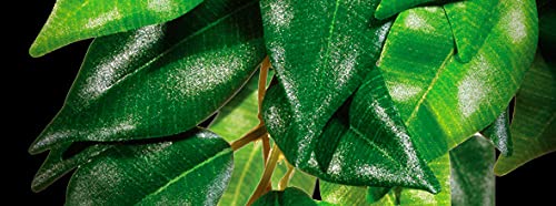 Exo Terra plante terrarium plastique petite feuilles vertes crée un décor réaliste