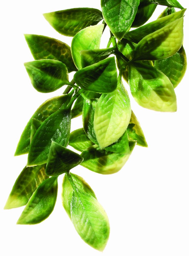 Exo Terra plante terrarium plastique petite mandarine offre cachettes naturelles