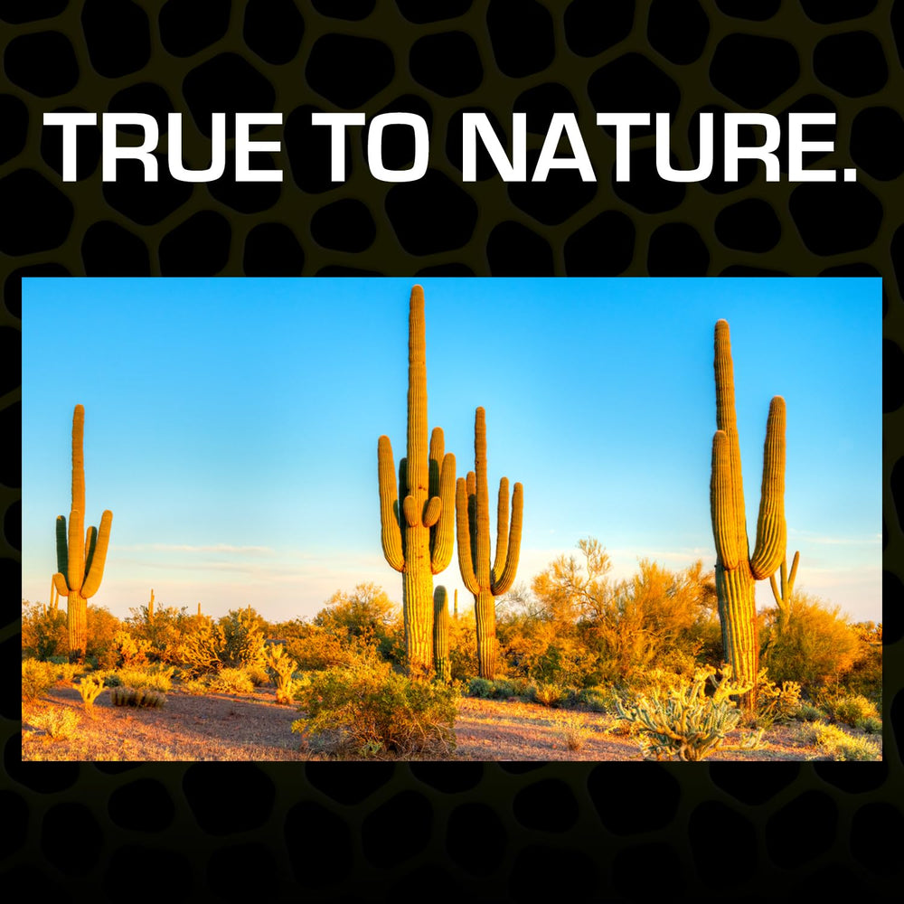Exo Terra sable désert creusement naturel favorise les fouilles.