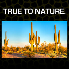 Exo Terra sable désert creusement naturel favorise les fouilles.