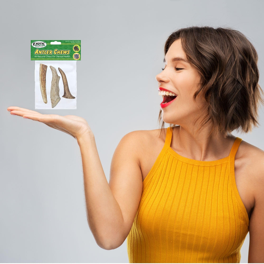 Exotic Nutrition Antler Chews — dentition naturelle grâce au grignotage.