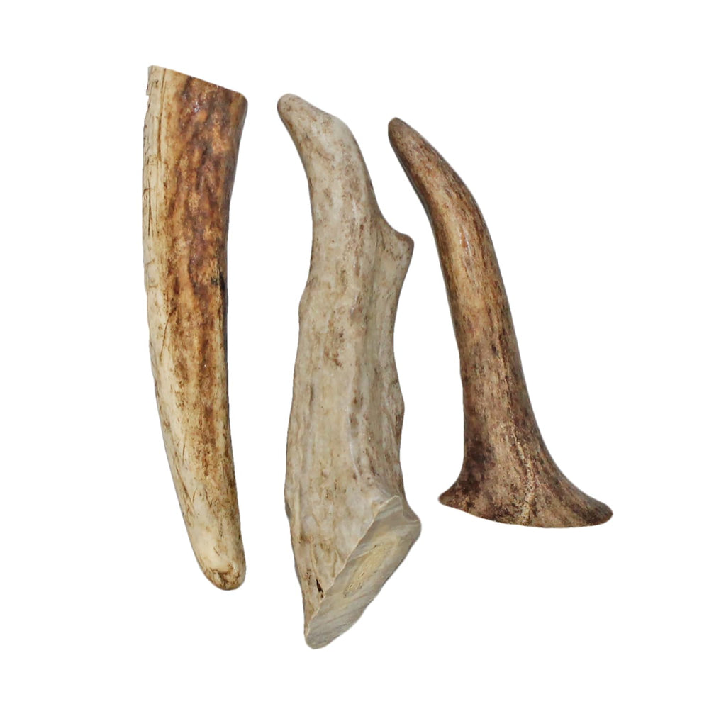Exotic Nutrition Antler Chews — nutriments calcium et zinc pour soutien naturel.