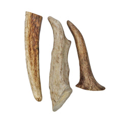 Exotic Nutrition Antler Chews — nutriments calcium et zinc pour soutien naturel.