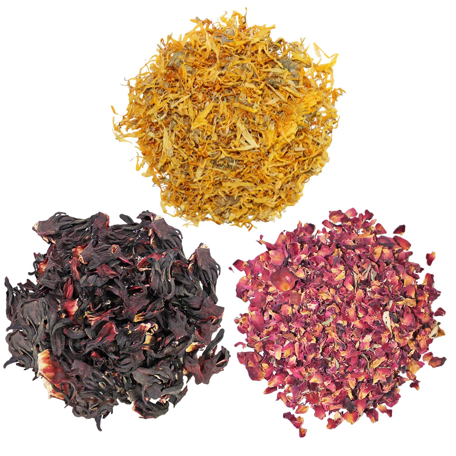 Exotic Nutrition : assortiment de fleurs pour l’enrichissement quotidien.