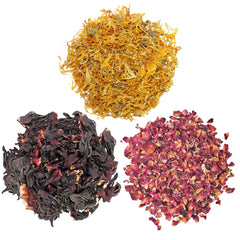 Exotic Nutrition : assortiment de fleurs pour l’enrichissement quotidien.