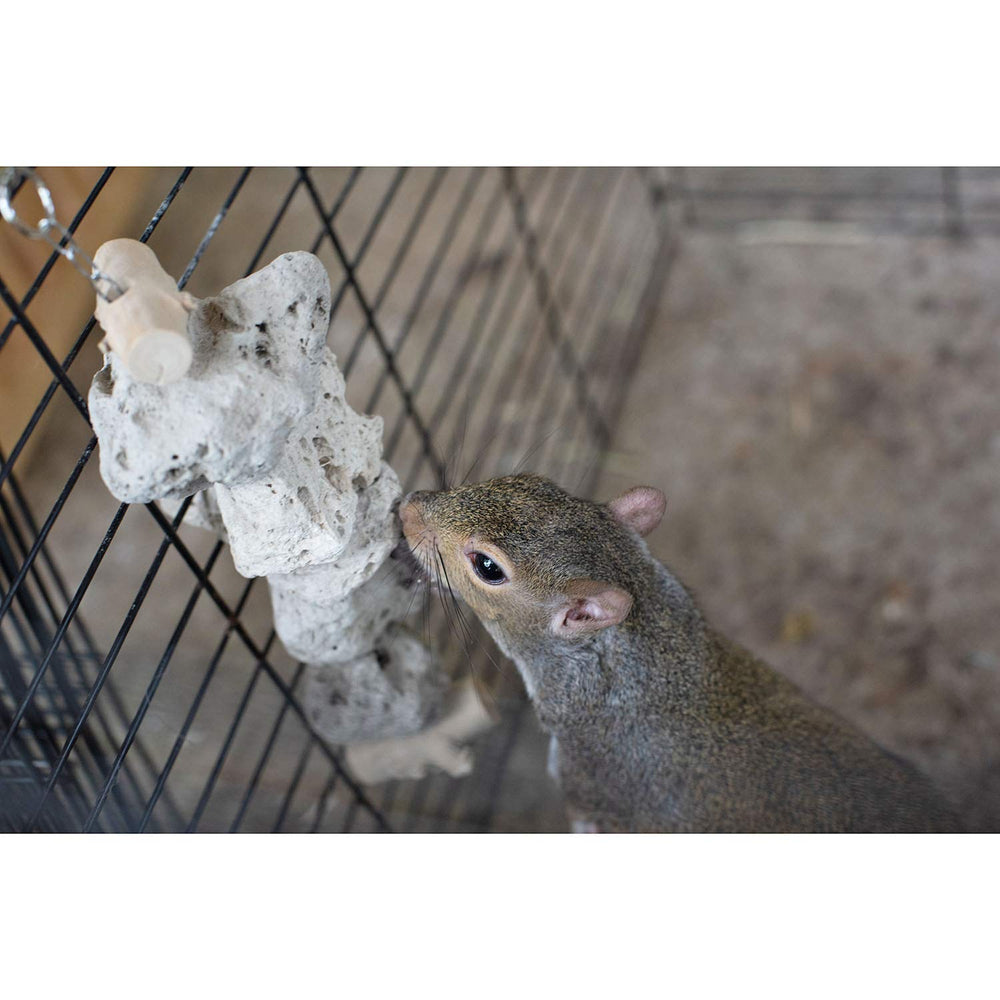 Exotic Nutrition Attache rapide pour pendentif – installation facile dans la cage.