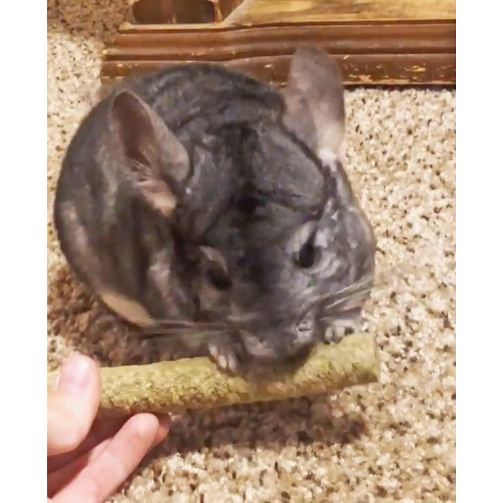 Utilisation possible sur broche pour récompenser votre animal.