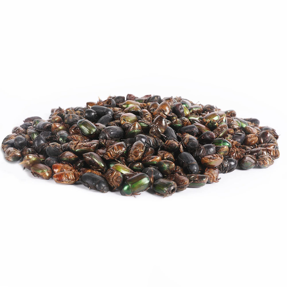 Exotic Nutrition Beetle Craze, tableau nutritionnel clair et disponible.