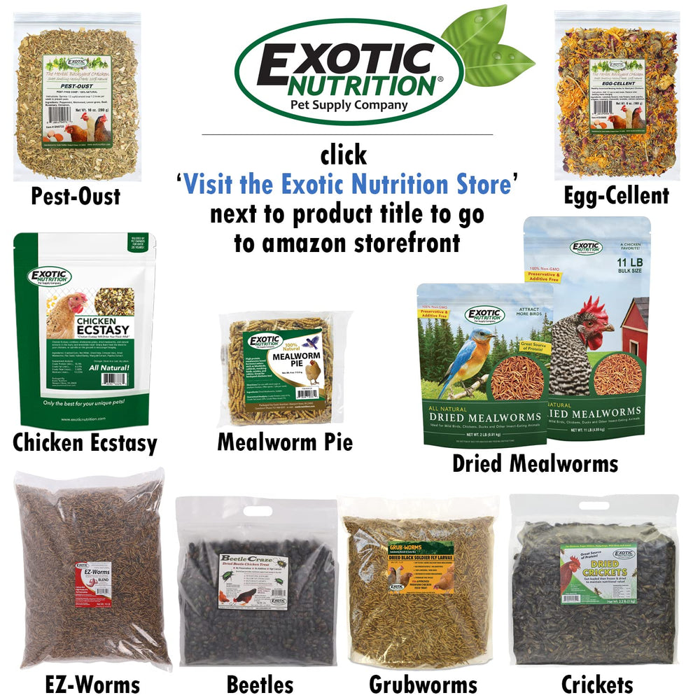 Exotic Nutrition Beetle Craze, portions recommandées pour récompenser sainement.