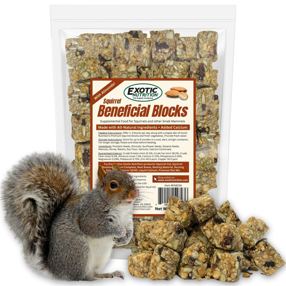 Exotic Nutrition blocs sciuraux nutrition – source de protéines et fibres.