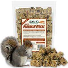 Exotic Nutrition blocs sciuraux nutrition – source de protéines et fibres.