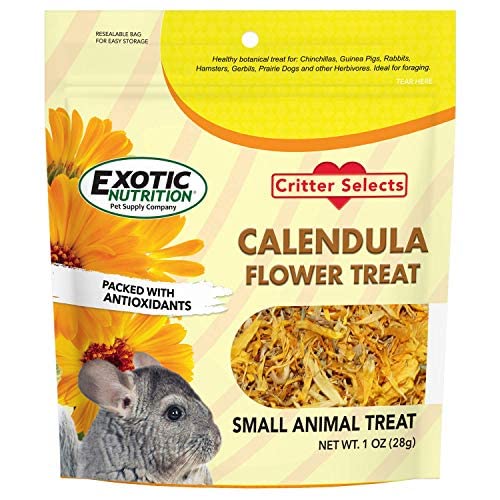 Exotic Nutrition Calendula – jouet rempli pour exploration alimentaire des petits animaux.