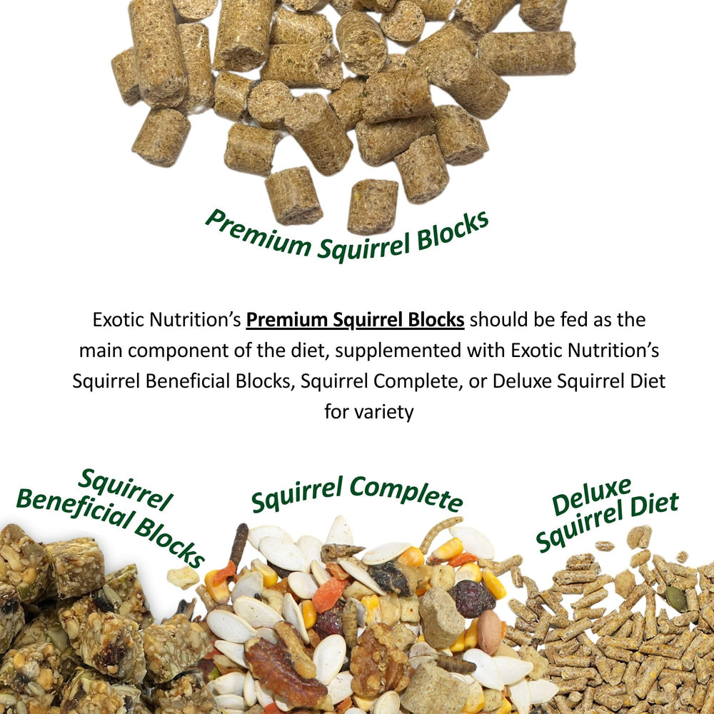 Mélange d'ingrédients naturels pour écureuils par Exotic Nutrition Complet.