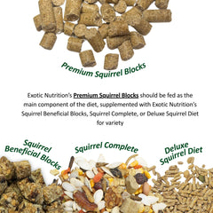 Mélange d'ingrédients naturels pour écureuils par Exotic Nutrition Complet.