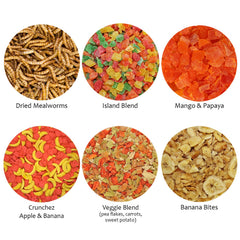 Exotic Nutrition - Crunchez pomme banane, snack nutritif et varié.