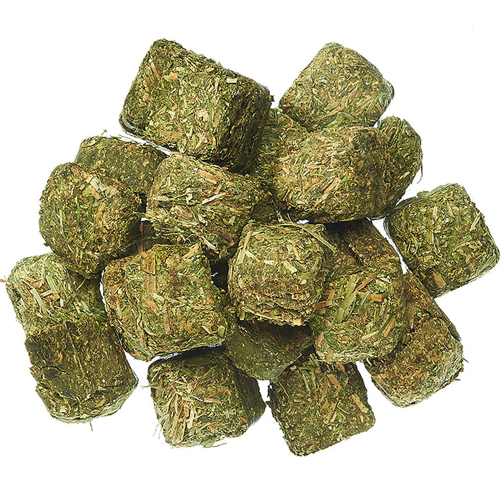 Exotic Nutrition: cubes de foin de Timothy compactes, texture stimulante pour mastiquer.