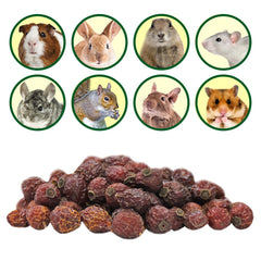 Exotic Nutrition cynorhodons séchés et dentition: activité masticatoire bénéfique.