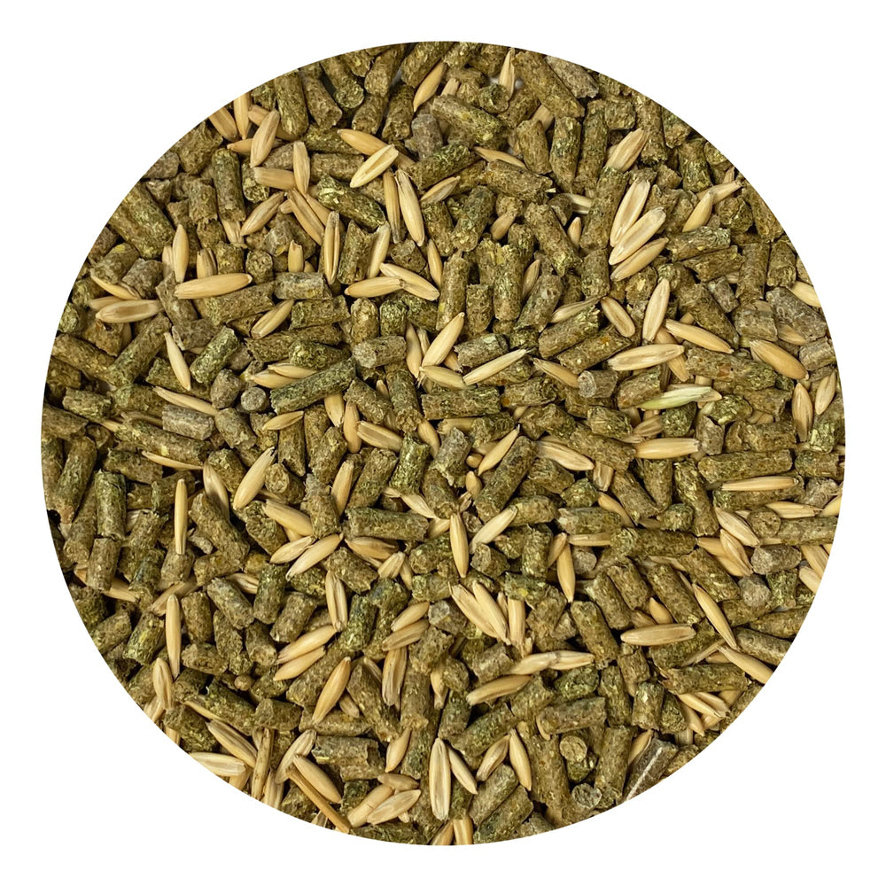 Exotic Nutrition Degu Diet – texture croquante favorisant la mastication.