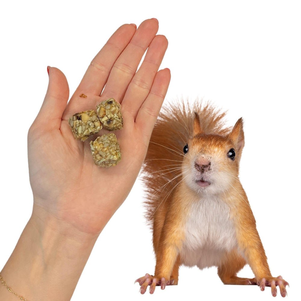 Stimulation du forage Exotic Nutrition: encourage le comportement naturel de recherche de nourriture.