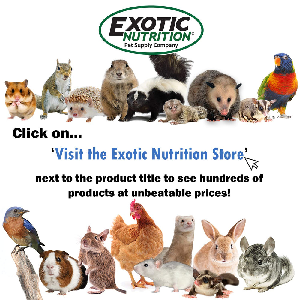 Exotic Nutrition - enrichissement hérisson, utilisation en jeu.