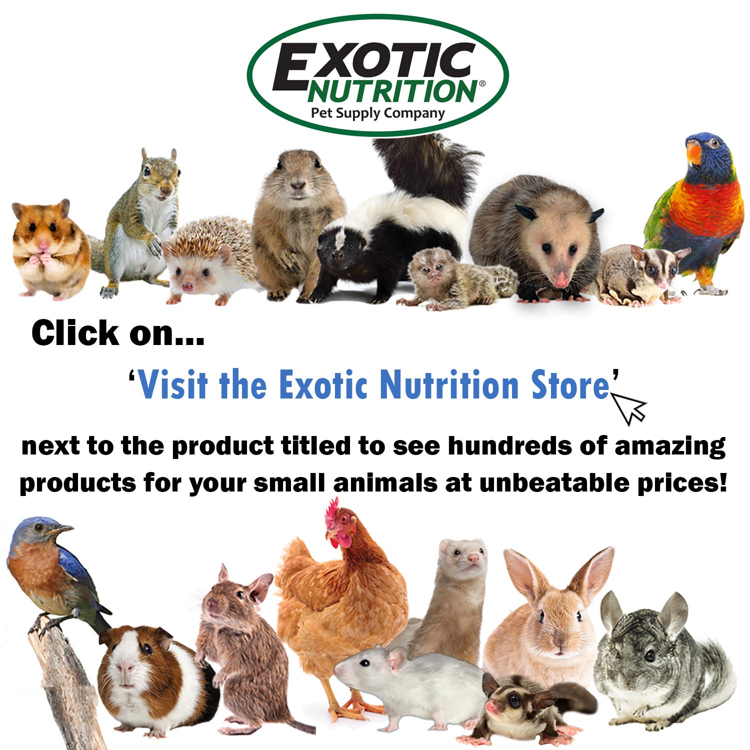Exotic Nutrition: matériel d’attache de cage inclus