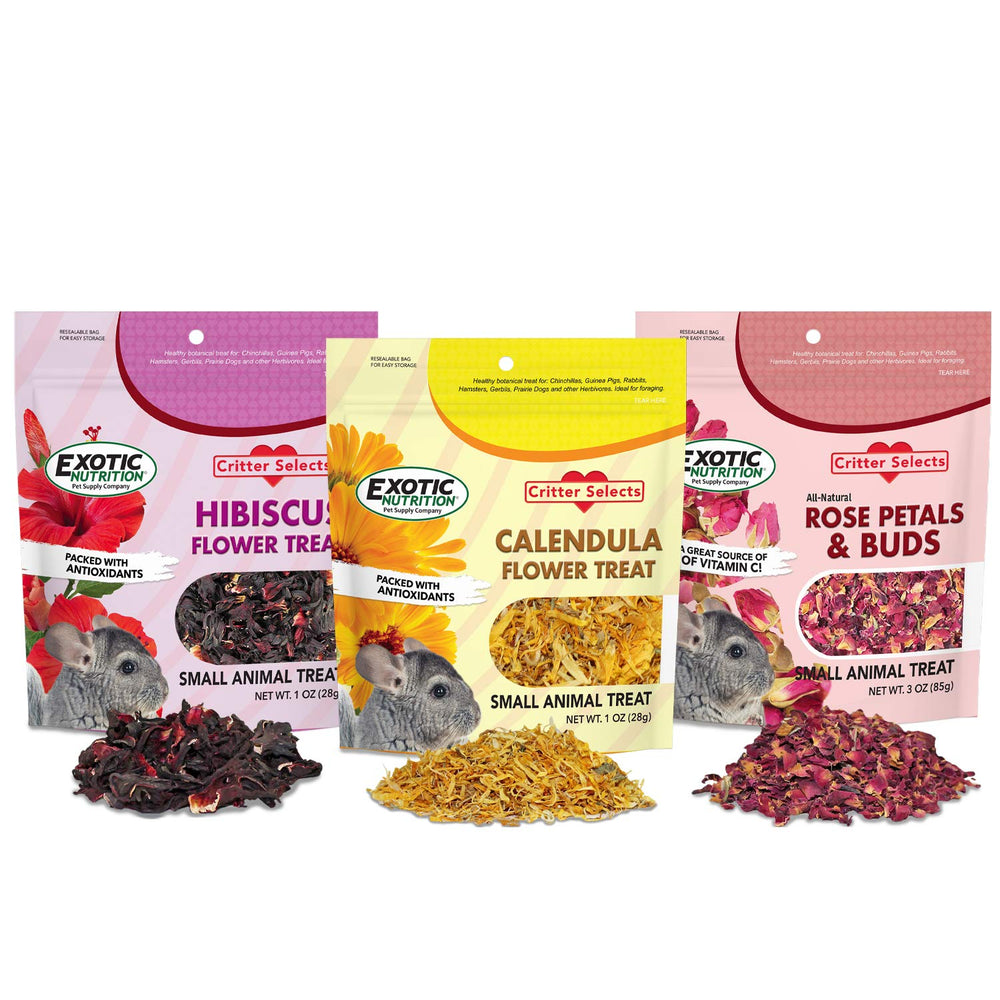 Exotic Nutrition : fleurs de calendula pour diversifier l’alimentation des herbivores.